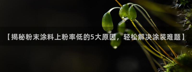 爱游戏app官网有实力0