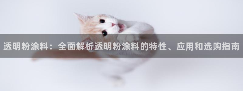 爱游戏全站官网