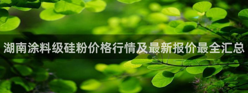 ayx爱游戏网页版官网：湖南涂料级硅粉价