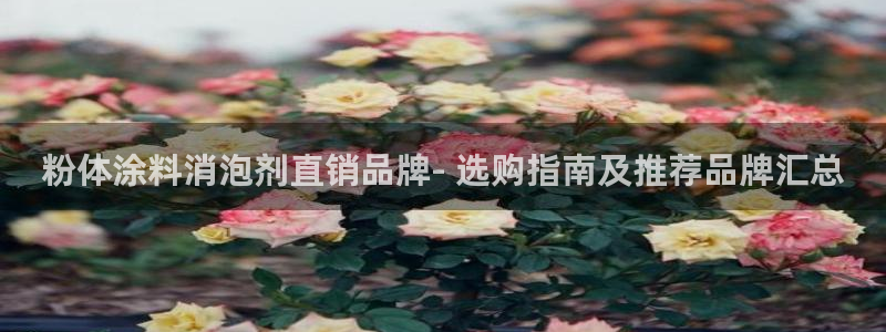 爱游戏电竞官网入口
