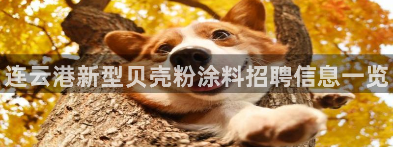 爱游戏官网网页