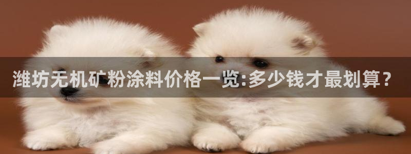 爱游戏马竞官方平台