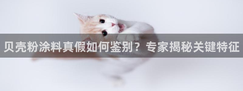 爱游戏官网进入