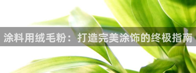 爱游戏娱乐官网信誉好10