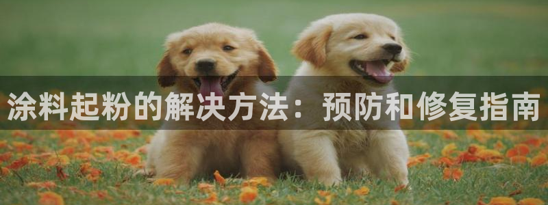爱游戏app官网信誉好13