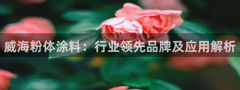 爱游戏直播平台怎么样