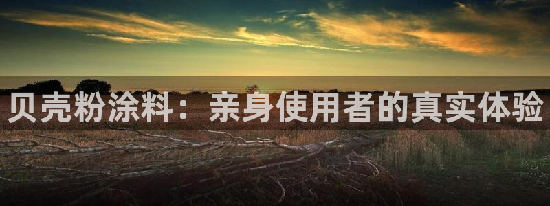 ayx爱游戏官网注册
