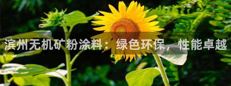 爱游戏平台入口