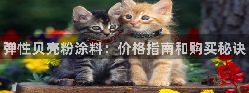爱游戏app官网有实力04
