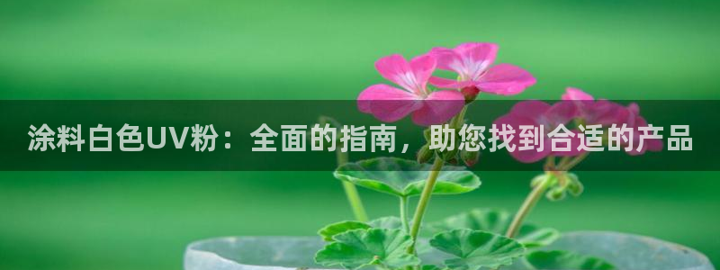 爱游戏官方app平台入口