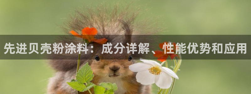 爱游戏百家平台app