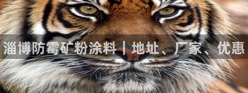 爱游戏app官网信誉好