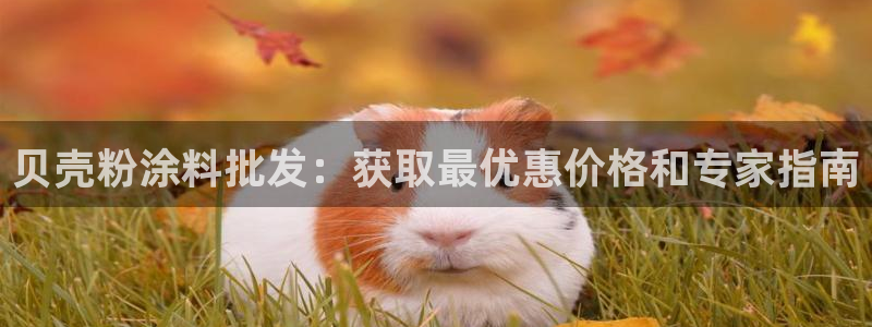 爱游戏app平台官网