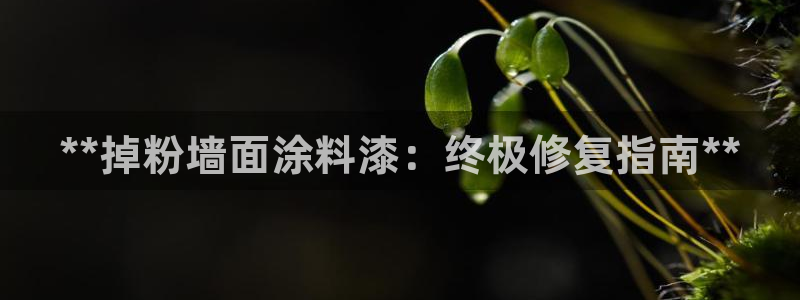 爱游戏官网登录在线入口