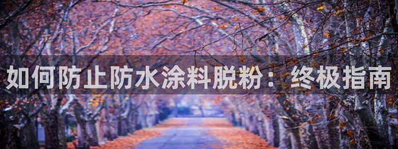 爱游戏全站官网入口