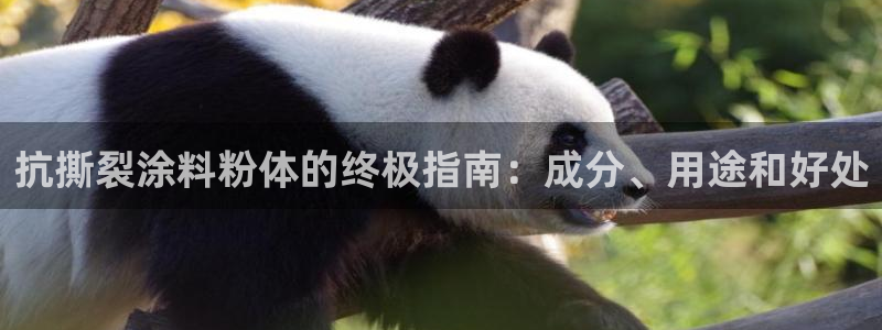 爱游戏客户端官网