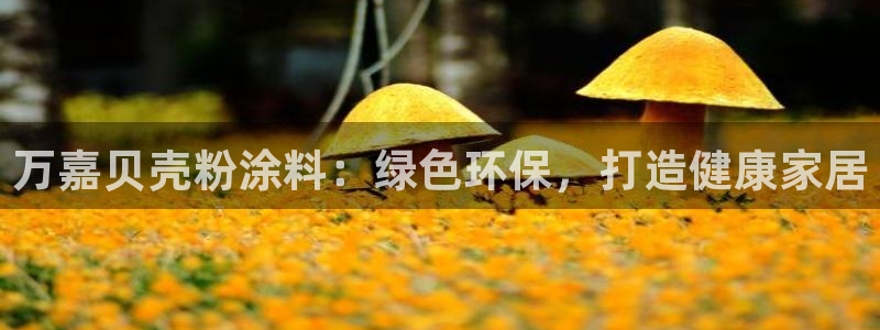 爱游戏电子竞技平台下载