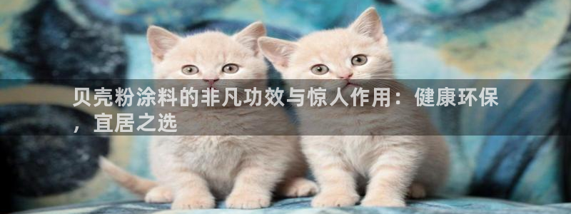 爱游戏全站app在线平台官网