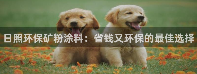 爱游戏app官网有实力04