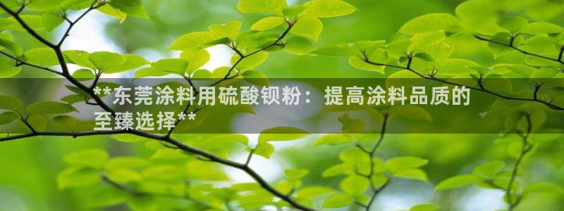 爱游戏app官网有实力06