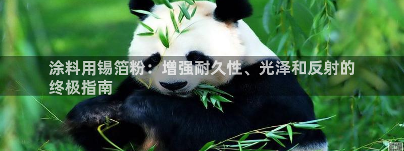爱游戏官方app平台入口