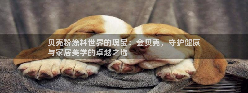 爱游戏app官网