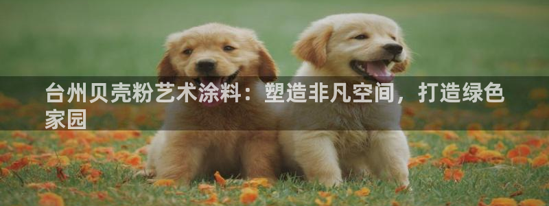 爱游戏娱乐官网信誉好13