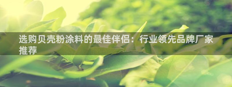 91爱游戏官网