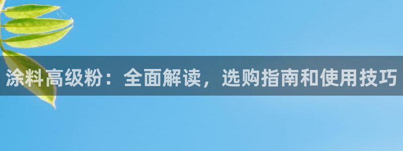 爱游戏app官网有实力06