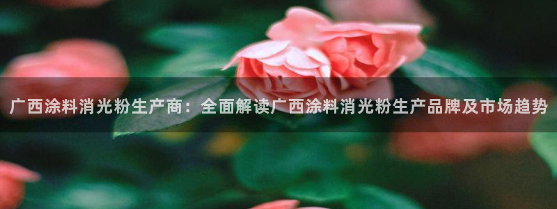 爱游戏官网yb4m代理体系