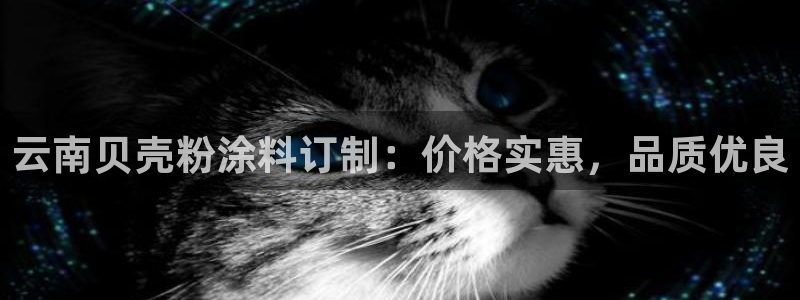 ayx爱游戏app平台