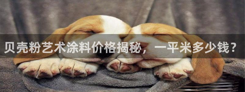 爱游戏h5游戏平台