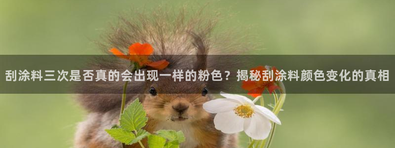 爱游戏网页版官方入口官网