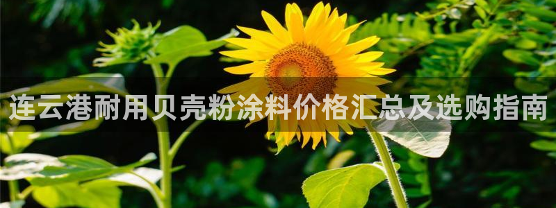爱游戏app官网入口