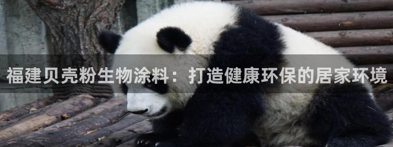 爱游戏爱体育官网