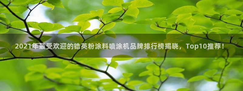 ayx爱游戏app平台下载：2021年最