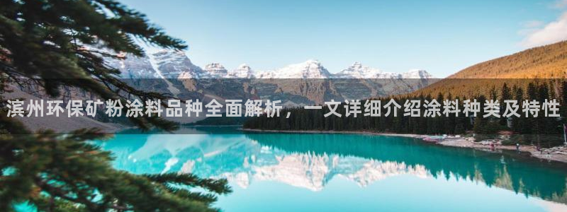 爱游戏app平台官网专业版