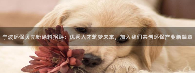 爱游戏app官网有实力06