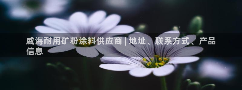 爱游戏平台在哪：威海耐用矿粉涂料供应商 