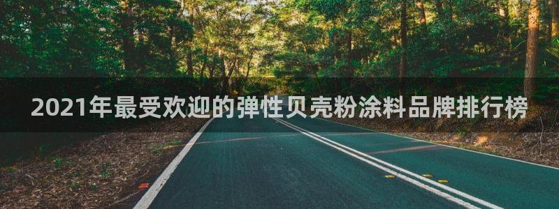 爱游戏娱乐平台网址：2021年最受欢迎的