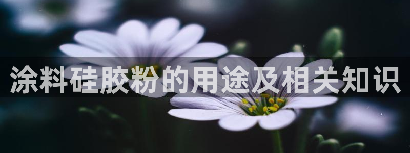 爱游戏平台入口