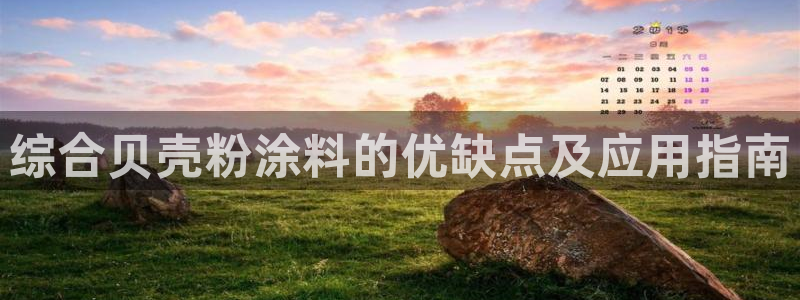 爱游戏app官网有实力05：综合贝壳粉涂