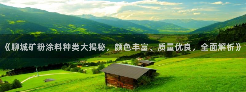 爱游戏好盟平台成立一周年：《聊城矿粉涂料
