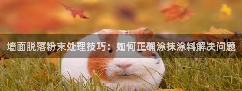 爱游戏官网登录在线入口