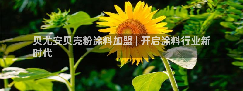 爱游戏官网yb4m代理体系