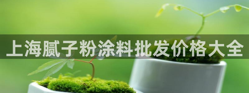 爱游戏全站官网入口