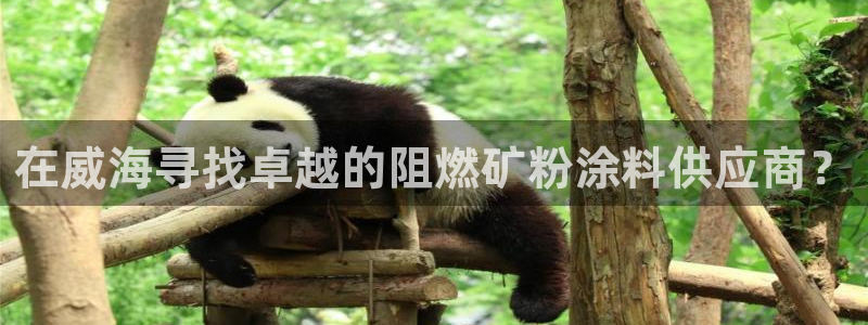 爱游戏官网手机