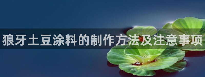 乐鱼爱游戏官网