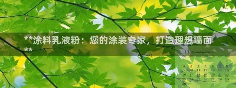 爱游戏开放平台官网
