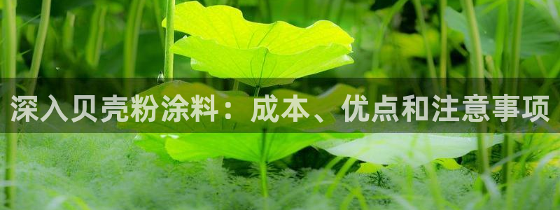 ayx爱游戏官网2021
